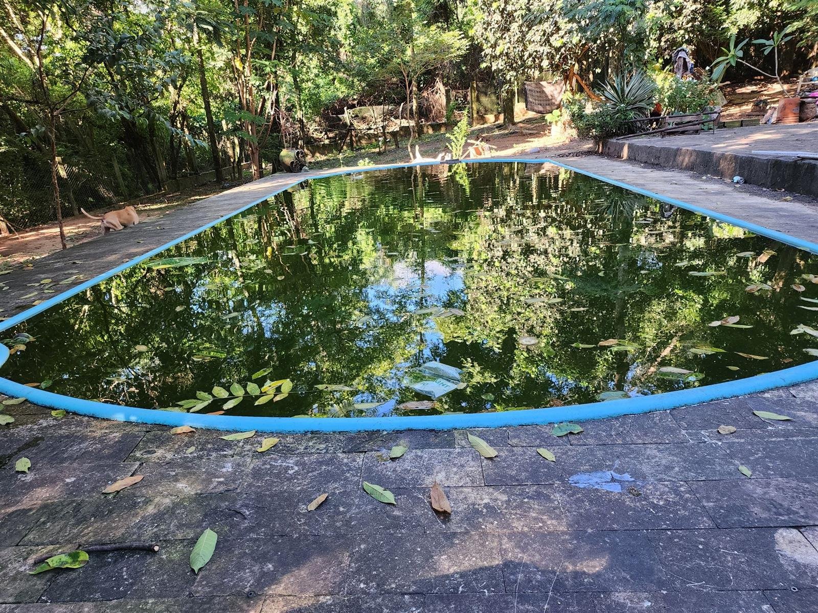 Antes · La piscina